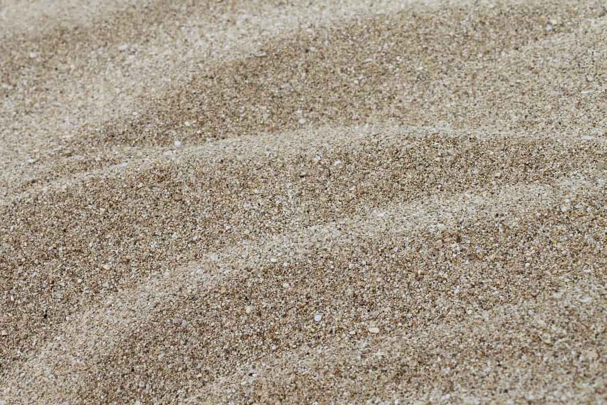 Fine sand texture close up