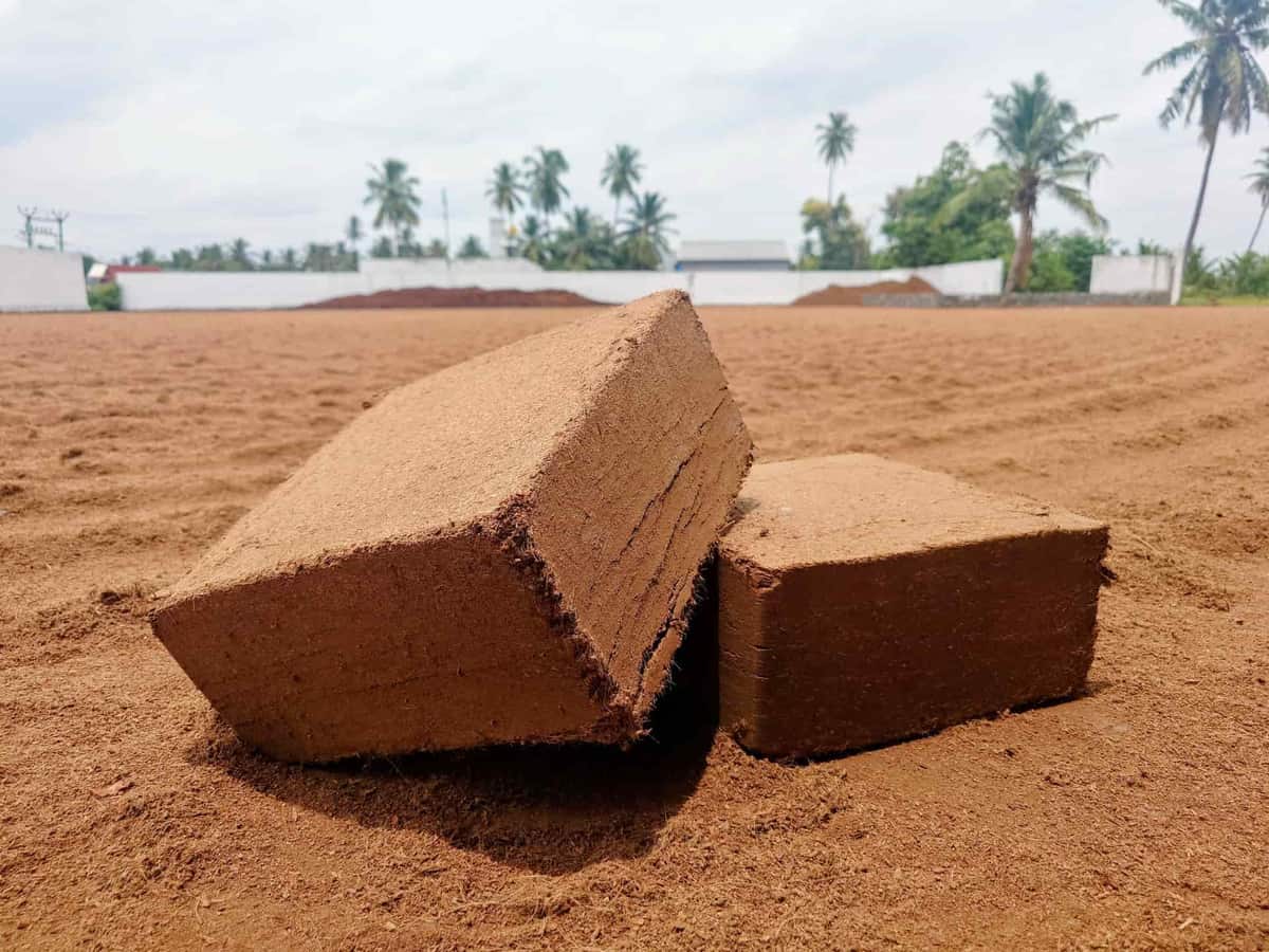 Coconut coir substrate blocks, illustrating the substrate category